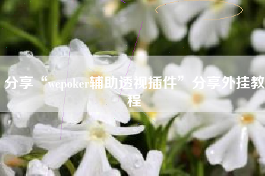 分享“wepoker辅助透视插件	”分享外挂教程