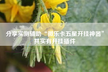 分享实测辅助“微乐卡五星开挂神器”其实有开挂插件