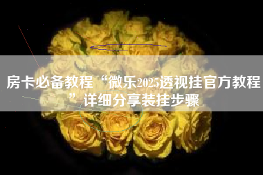 房卡必备教程“微乐2025透视挂官方教程”详细分享装挂步骤