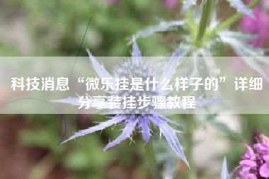 科技消息“微乐挂是什么样子的	”详细分享装挂步骤教程