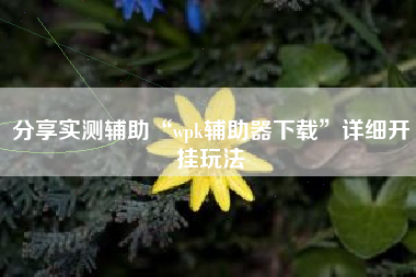 分享实测辅助“wpk辅助器下载”详细开挂玩法