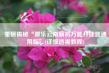 重磅揭秘“微乐云南麻将万能开挂器通用版	”(详细透视教程)