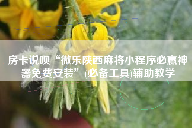 房卡说呗“微乐陕西麻将小程序必赢神器免费安装	”(必备工具)辅助教学