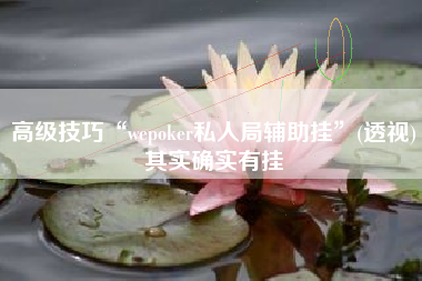 高级技巧“wepoker私人局辅助挂”(透视)其实确实有挂