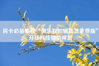 房卡必备教程“微乐双扣辅助器免费版	”开挂科技辅助神器