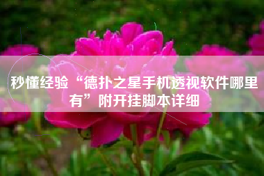 秒懂经验“德扑之星手机透视软件哪里有”附开挂脚本详细