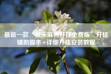 最新一款“微乐麻将开挂免费版”开挂辅助脚本+详细开挂安装教程