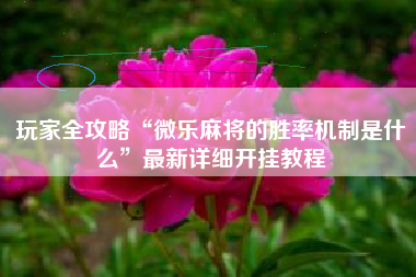 玩家全攻略“微乐麻将的胜率机制是什么”最新详细开挂教程