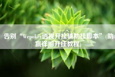 告别“Wepoker透视开挂辅助挂脚本”(助赢详细开挂教程)
