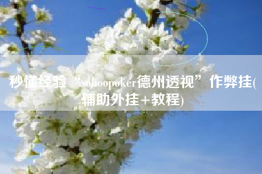 秒懂经验“sohoopoker德州透视	”作弊挂(辅助外挂+教程)