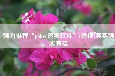 强力推荐“poker透视软件”(透视)其实确实有挂
