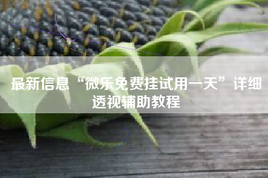 最新信息“微乐免费挂试用一天”详细透视辅助教程