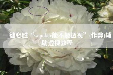 一键必胜“wepoker能不能透视”(作弊)辅助透视教程