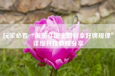 玩家必看“微乐斗地主如何拿好牌规律”详细开挂教程分享