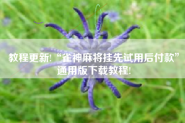 教程更新!“雀神麻将挂先试用后付款”通用版下载教程!