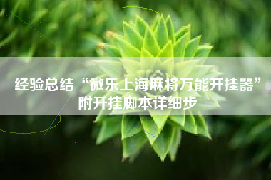 经验总结“微乐上海麻将万能开挂器”附开挂脚本详细步