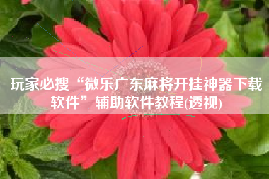 玩家必搜“微乐广东麻将开挂神器下载软件”辅助软件教程(透视)