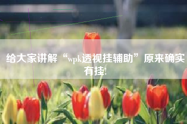 给大家讲解“wpk透视挂辅助	”原来确实有挂!