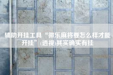 辅助开挂工具“微乐麻将要怎么样才能开挂	”(透视)其实确实有挂