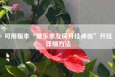 可用版本“微乐亲友房开挂神器”开挂详细方法