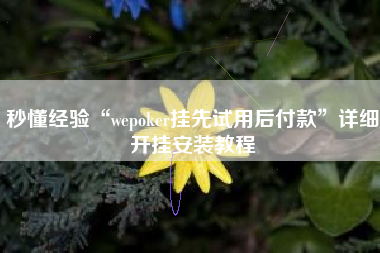 秒懂经验“wepoker挂先试用后付款”详细开挂安装教程