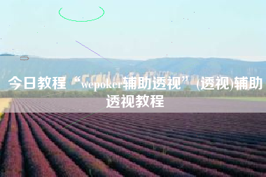 今日教程“wepoker辅助透视	”(透视)辅助透视教程