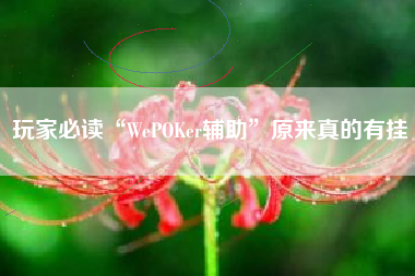 玩家必读“WePOKer辅助	”原来真的有挂