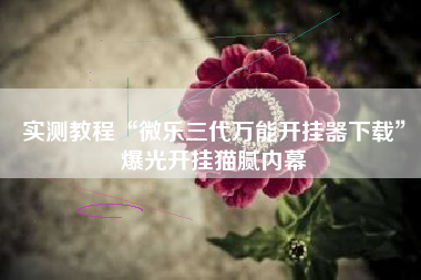 实测教程“微乐三代万能开挂器下载	”爆光开挂猫腻内幕