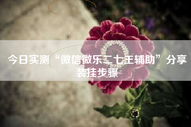 今日实测“微信微乐二七王辅助	”分享装挂步骤