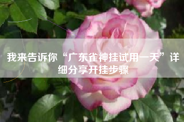 我来告诉你“广东雀神挂试用一天”详细分享开挂步骤