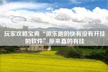 玩家攻略宝典“微乐跑的快有没有开挂的软件”原来真的有挂