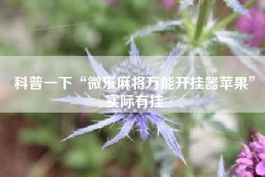 科普一下“微乐麻将万能开挂器苹果”实际有挂