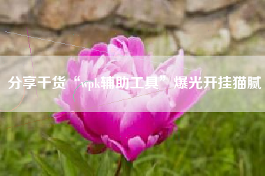 分享干货“wpk辅助工具”爆光开挂猫腻