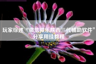 玩家综述“微信微乐陕西三代辅助软件”分享用挂教程