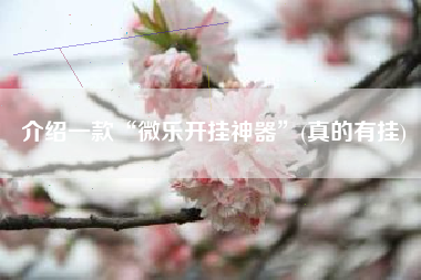 介绍一款“微乐开挂神器	”(真的有挂)
