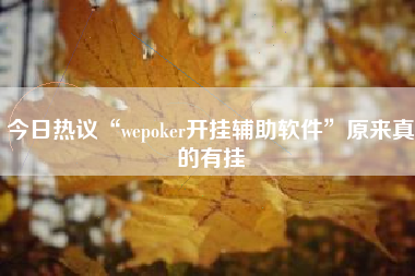 今日热议“wepoker开挂辅助软件”原来真的有挂