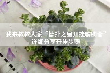 我来教教大家“德扑之星开挂辅助器”详细分享开挂步骤