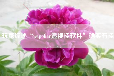 玩家综述“wepoker透视挂软件”确实有挂