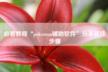 必看教程“pokemon辅助软件”分享装挂步骤