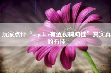 玩家点评“wepoker有透视辅助挂”其实真的有挂