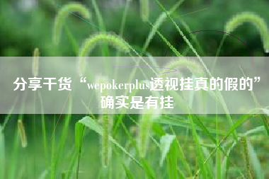 分享干货“wepokerplus透视挂真的假的”确实是有挂