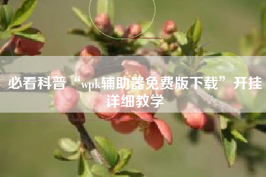 必看科普“wpk辅助器免费版下载”开挂详细教学