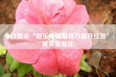 今日盘点“微乐无锡麻将万能开挂器”(其实是有挂)