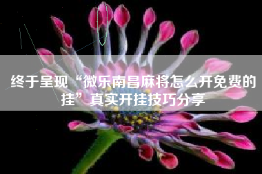 终于呈现“微乐南昌麻将怎么开免费的挂	”真实开挂技巧分享