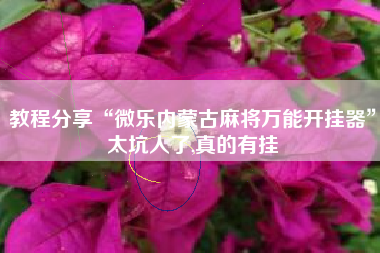 教程分享“微乐内蒙古麻将万能开挂器	”太坑人了,真的有挂