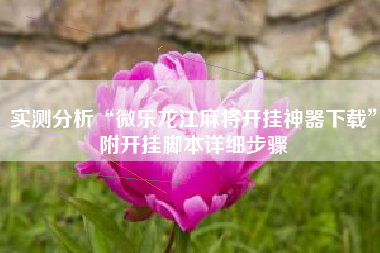 实测分析“微乐龙江麻将开挂神器下载”附开挂脚本详细步骤