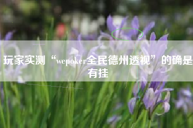 玩家实测“wepoker全民德州透视”的确是有挂
