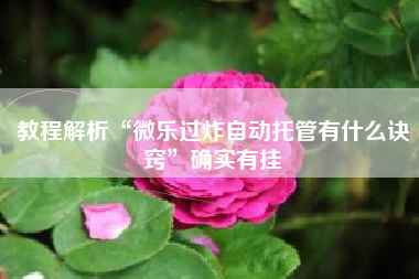 教程解析“微乐过炸自动托管有什么诀窍	”确实有挂