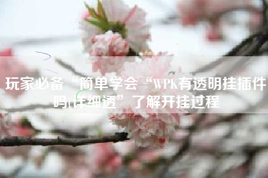 玩家必备“简单学会“WPK有透明挂插件吗(详细透”了解开挂过程
