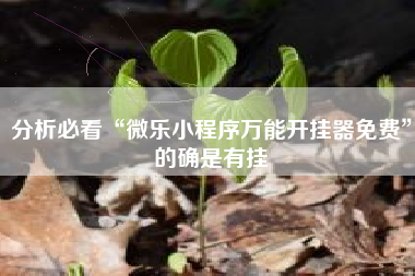 分析必看“微乐小程序万能开挂器免费”的确是有挂